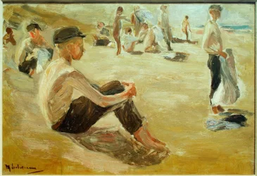 Badende jongens